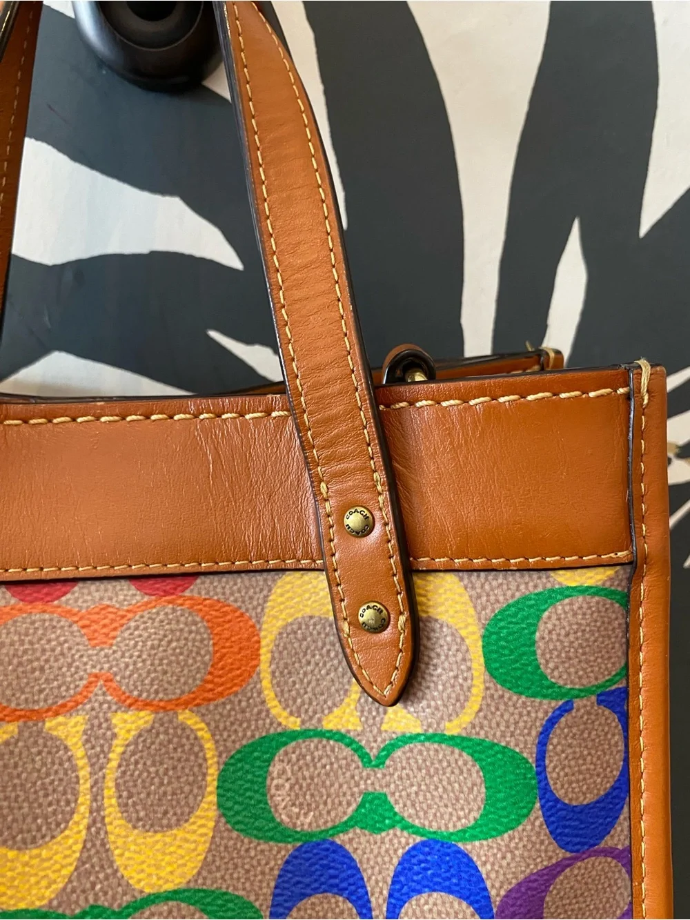 Coach Limited Edition Field Tote 22 from Pride 2022